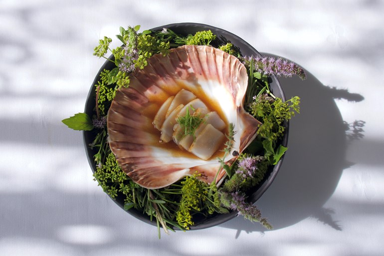 Food tours in Norway